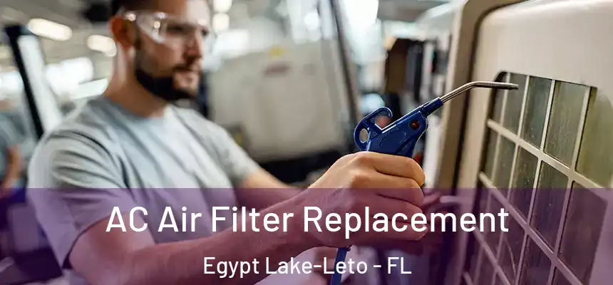 AC Air Filter Replacement Egypt Lake-Leto - FL