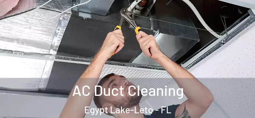AC Duct Cleaning Egypt Lake-Leto - FL