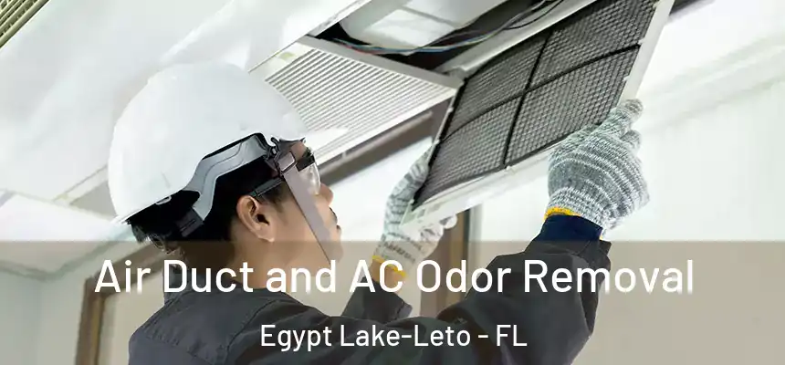 Air Duct and AC Odor Removal Egypt Lake-Leto - FL