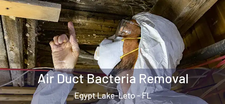Air Duct Bacteria Removal Egypt Lake-Leto - FL