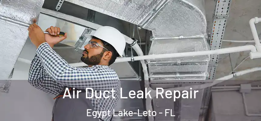 Air Duct Leak Repair Egypt Lake-Leto - FL