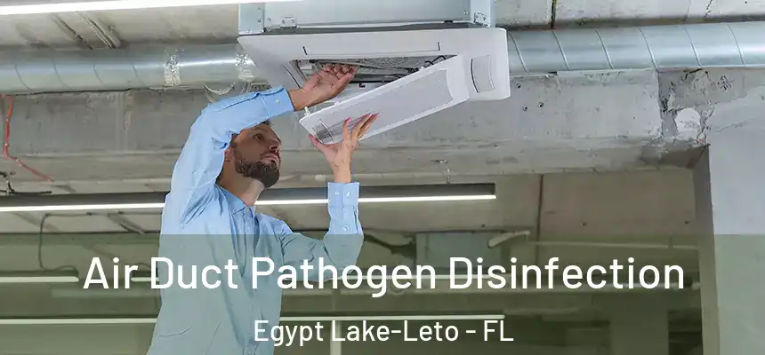 Air Duct Pathogen Disinfection Egypt Lake-Leto - FL