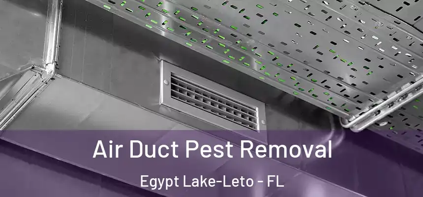 Air Duct Pest Removal Egypt Lake-Leto - FL