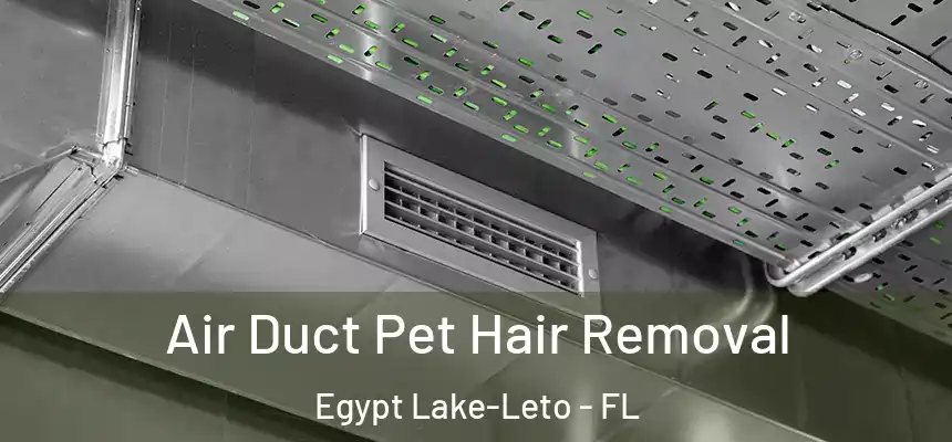 Air Duct Pet Hair Removal Egypt Lake-Leto - FL