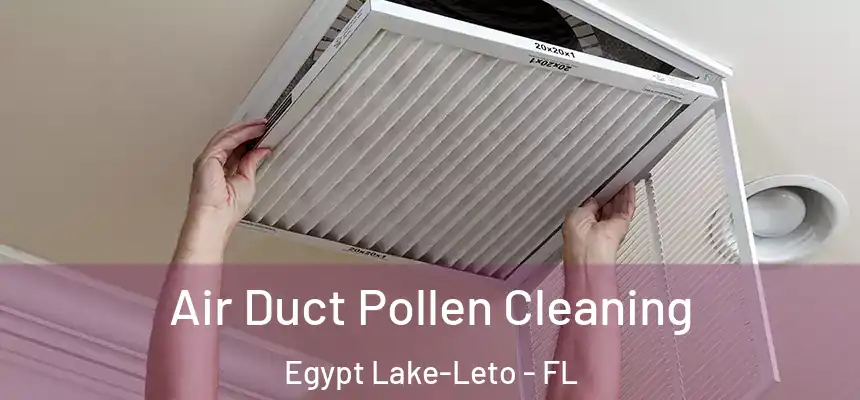 Air Duct Pollen Cleaning Egypt Lake-Leto - FL