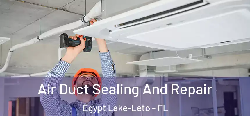 Air Duct Sealing And Repair Egypt Lake-Leto - FL