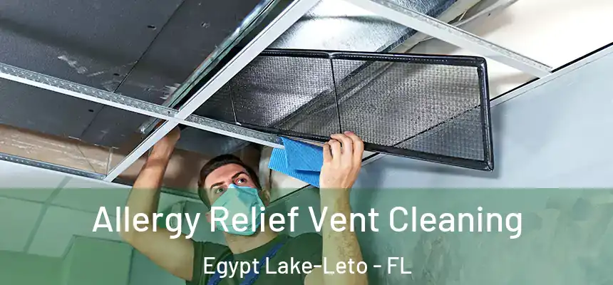 Allergy Relief Vent Cleaning Egypt Lake-Leto - FL