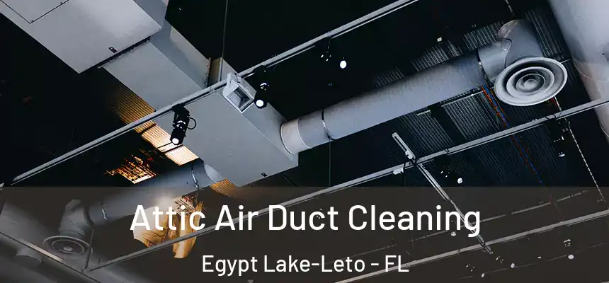 Attic Air Duct Cleaning Egypt Lake-Leto - FL