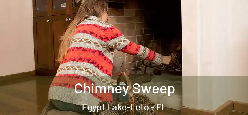 Chimney Sweep Egypt Lake-Leto - FL