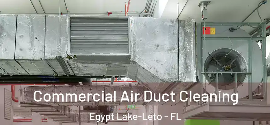Commercial Air Duct Cleaning Egypt Lake-Leto - FL