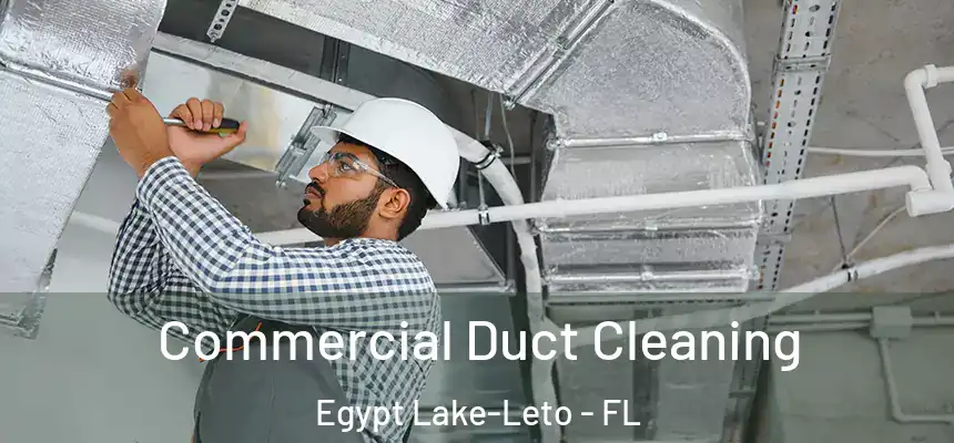 Commercial Duct Cleaning Egypt Lake-Leto - FL