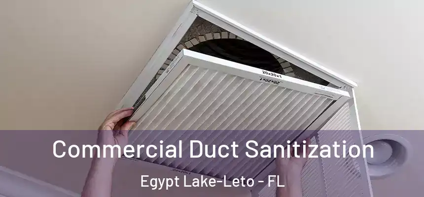 Commercial Duct Sanitization Egypt Lake-Leto - FL