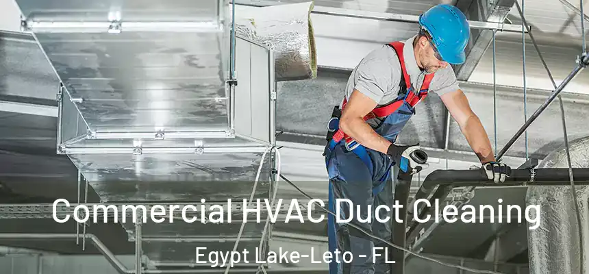 Commercial HVAC Duct Cleaning Egypt Lake-Leto - FL