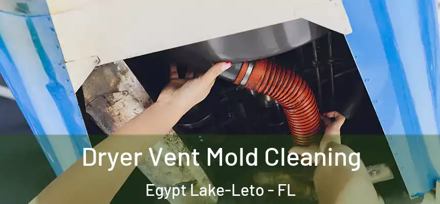 Dryer Vent Mold Cleaning Egypt Lake-Leto - FL