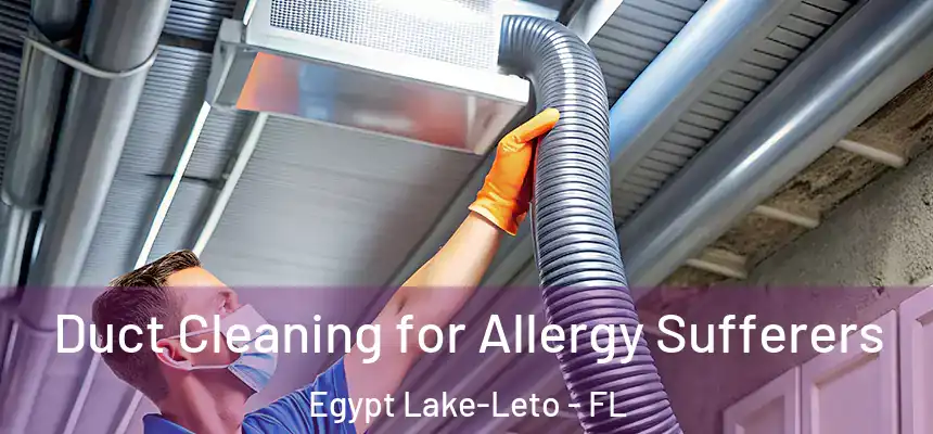 Duct Cleaning for Allergy Sufferers Egypt Lake-Leto - FL