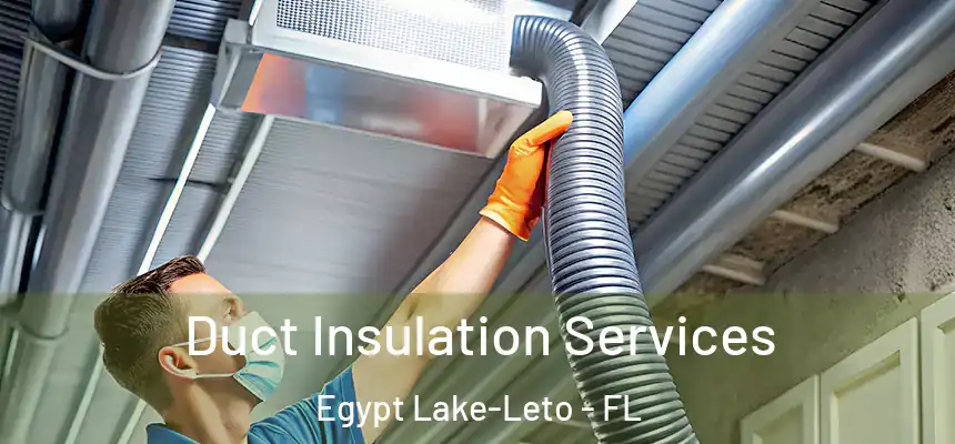 Duct Insulation Services Egypt Lake-Leto - FL