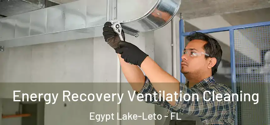 Energy Recovery Ventilation Cleaning Egypt Lake-Leto - FL