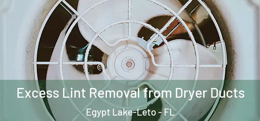 Excess Lint Removal from Dryer Ducts Egypt Lake-Leto - FL