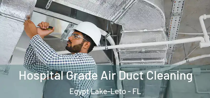 Hospital Grade Air Duct Cleaning Egypt Lake-Leto - FL
