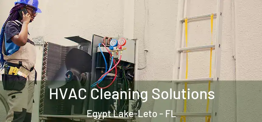 HVAC Cleaning Solutions Egypt Lake-Leto - FL