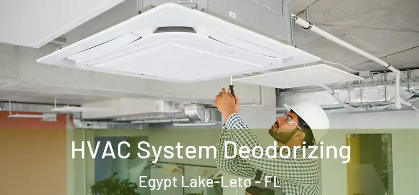 HVAC System Deodorizing Egypt Lake-Leto - FL