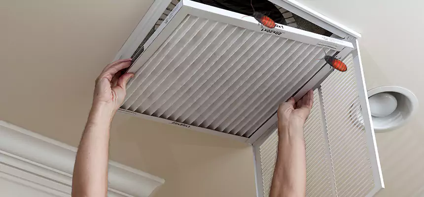 Preventive Cockroach-Proofing for Ducts in Egypt Lake-Leto