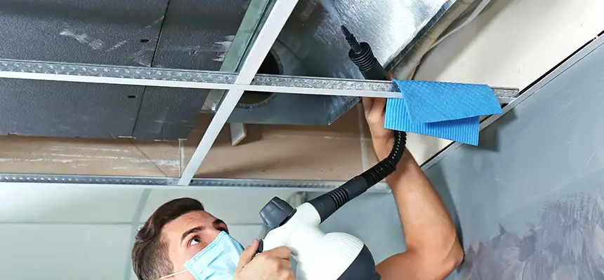 Our Air Duct Rodent Removal Services in Egypt Lake-Leto, FL