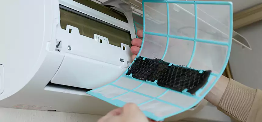 Gentle Ductwork Odor-Control Pet Dander Duct Cleaning in Egypt Lake-Leto, FL