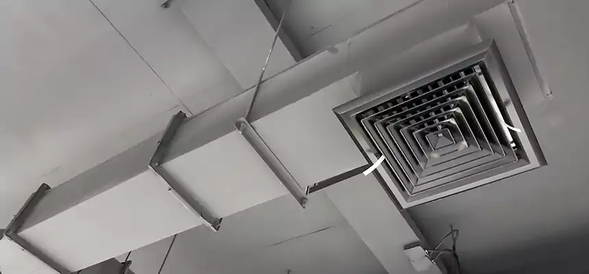 Our Rodent Droppings In Vents Services in Egypt Lake-Leto, FL