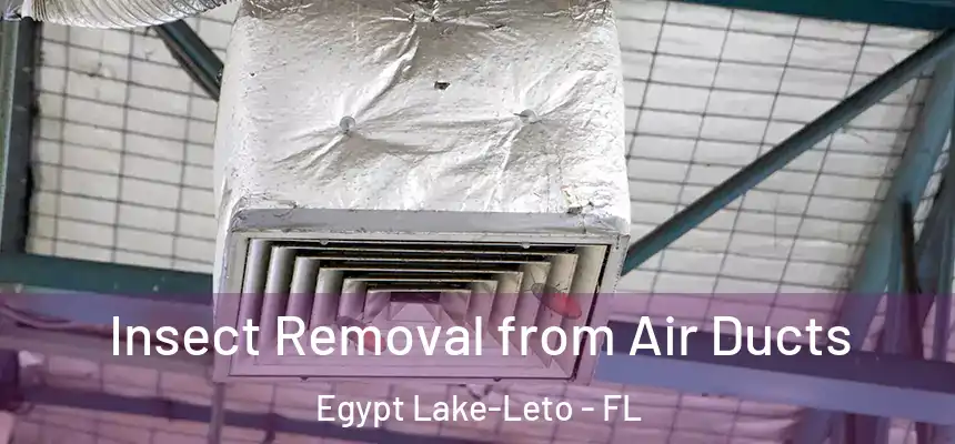 Insect Removal from Air Ducts Egypt Lake-Leto - FL
