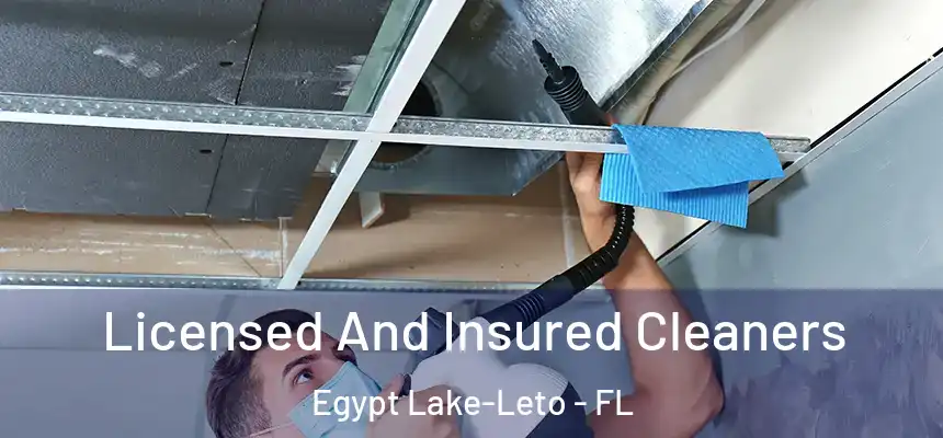 Licensed And Insured Cleaners Egypt Lake-Leto - FL