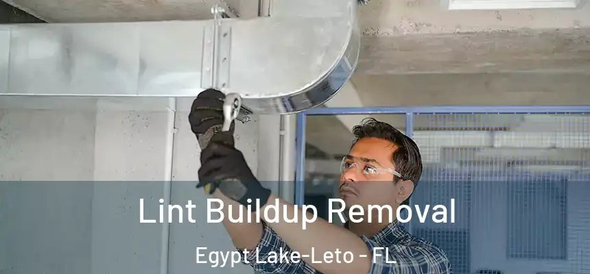 Lint Buildup Removal Egypt Lake-Leto - FL
