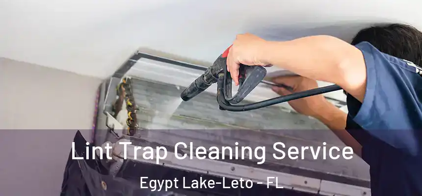 Lint Trap Cleaning Service Egypt Lake-Leto - FL