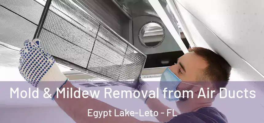 Mold & Mildew Removal from Air Ducts Egypt Lake-Leto - FL