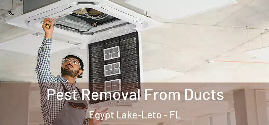 Pest Removal From Ducts Egypt Lake-Leto - FL