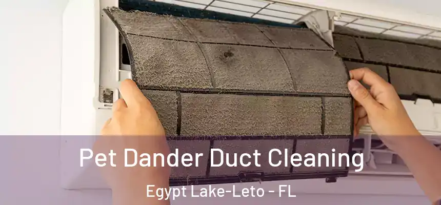 Pet Dander Duct Cleaning Egypt Lake-Leto - FL