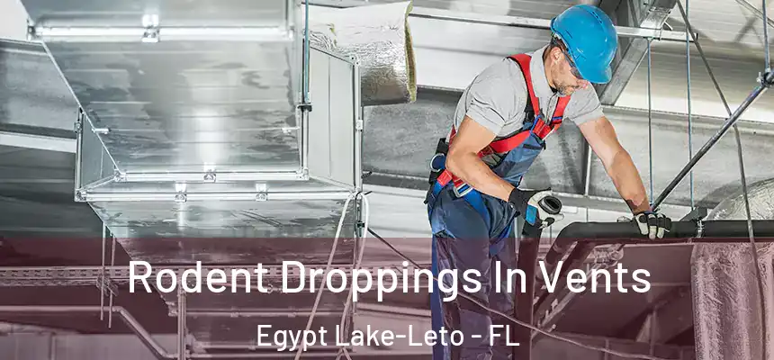 Rodent Droppings In Vents Egypt Lake-Leto - FL