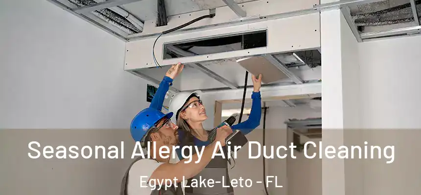 Seasonal Allergy Air Duct Cleaning Egypt Lake-Leto - FL