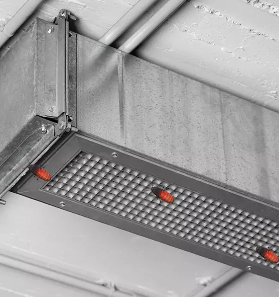 About Air Duct Cockroach Removal in Egypt Lake-Leto, FL