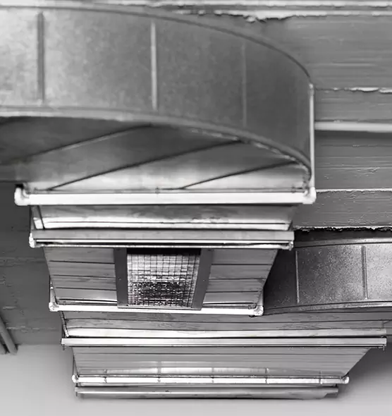 Professional Air Duct Pet Hair Removal in Egypt Lake-Leto, FL