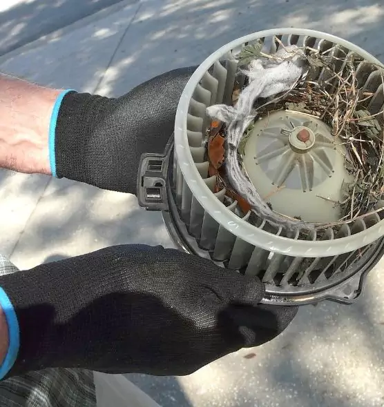 About Air Duct Rat Removal in Egypt Lake-Leto, FL