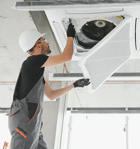 About Air Duct Rodent Removal in Egypt Lake-Leto, FL