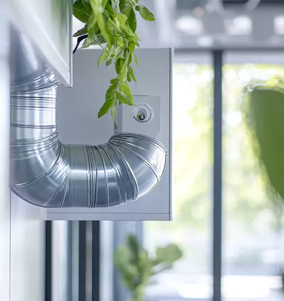 Professional Eco-Safe Dryer Vent Cleaning in Egypt Lake-Leto, FL