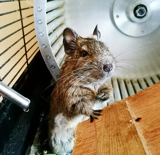 Why Homeowners & Businesses Trust Us Egypt Lake-Leto, FL