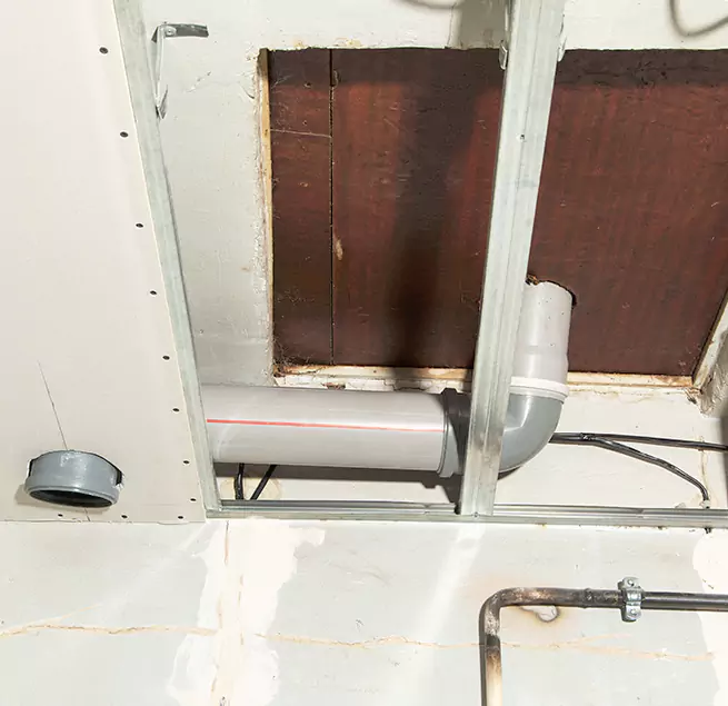 Why Homeowners & Businesses Trust Us in Egypt Lake-Leto, FL?