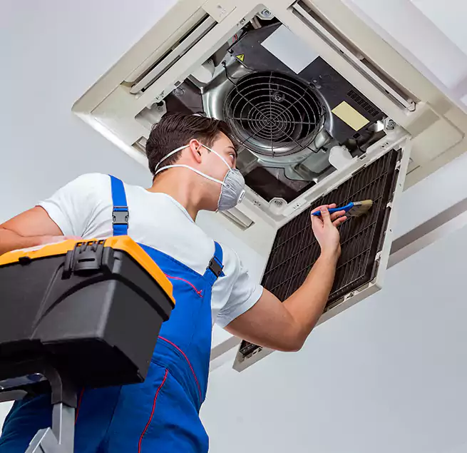 Why Homeowners & Businesses Trust Us in Egypt Lake-Leto, FL