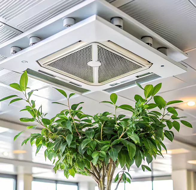 Why Homeowners & Businesses Trust Us in Egypt Lake-Leto, FL?