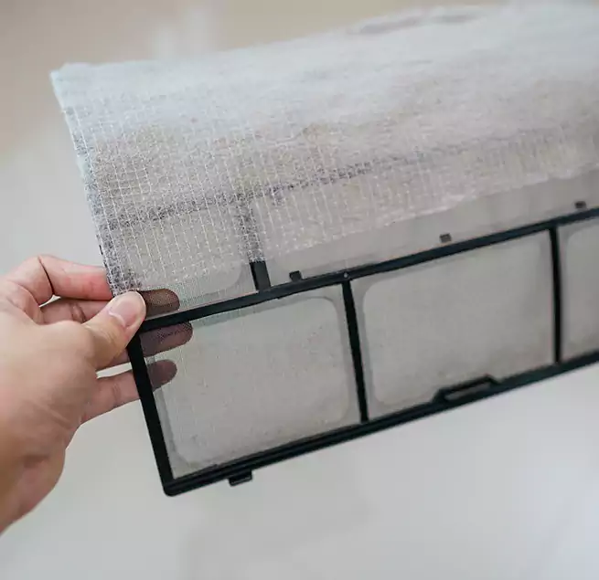 Why Homeowners & Businesses Trust Us in Egypt Lake-Leto, FL?