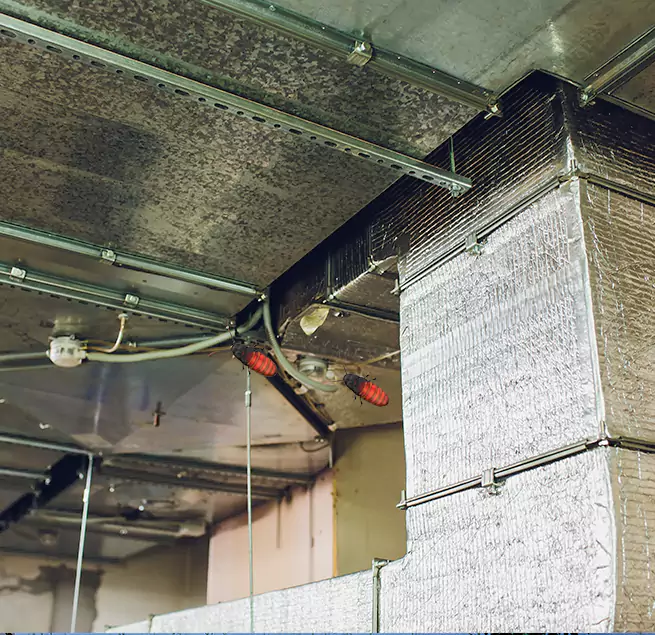 Why Homeowners & Businesses Trust Us Egypt Lake-Leto, FL?