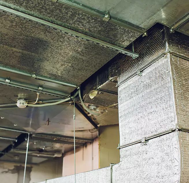 Why Homeowners & Businesses Trust Us in Egypt Lake-Leto, FL?